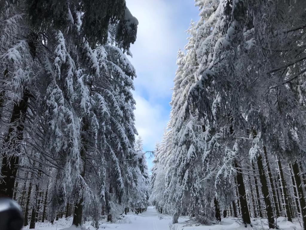 Ferienwohnung Wolkenplatz Winterberg Eksteriør billede