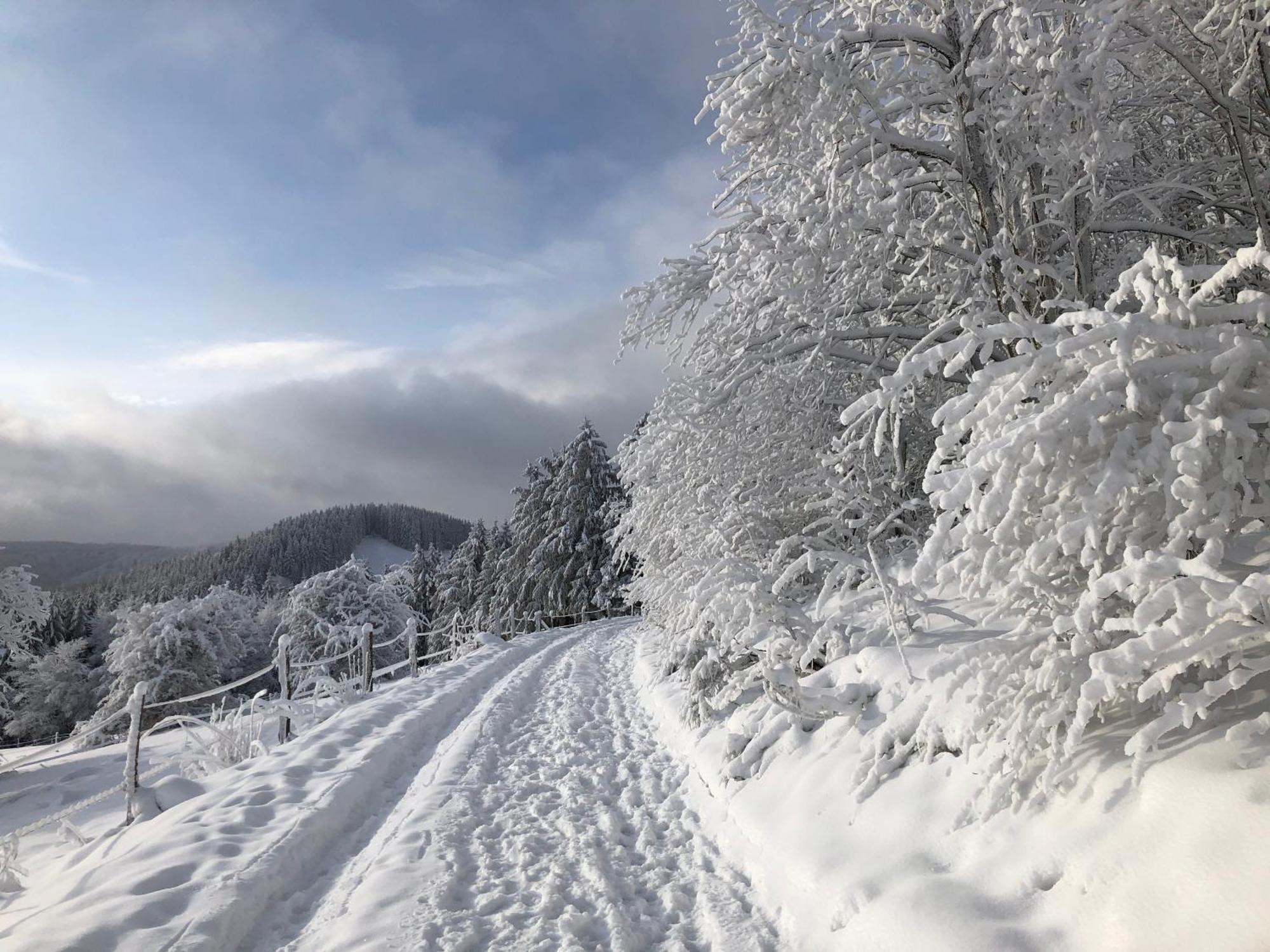 Ferienwohnung Wolkenplatz Winterberg Eksteriør billede