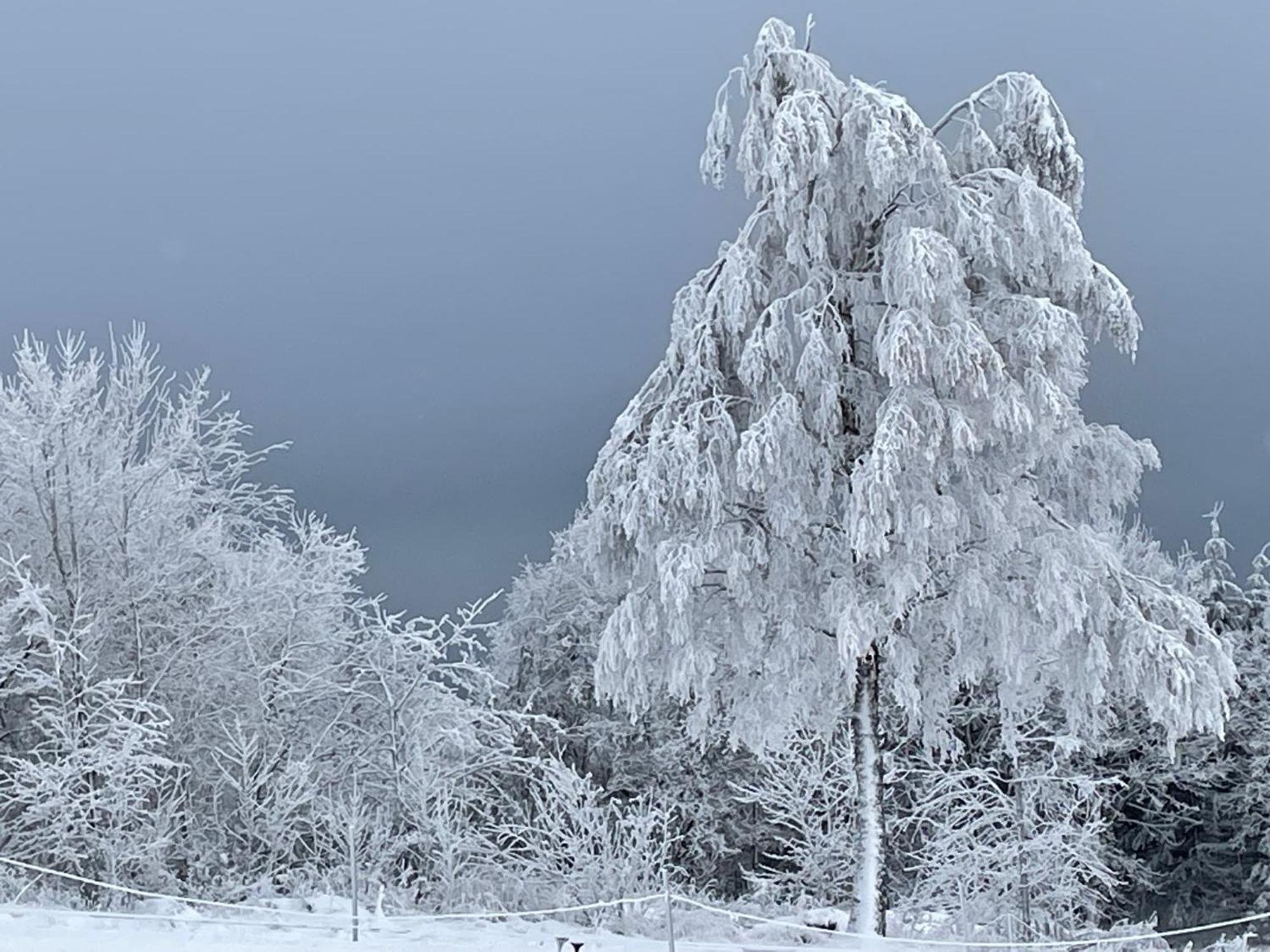 Ferienwohnung Wolkenplatz Winterberg Eksteriør billede